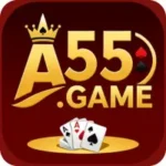 A55 Game APK